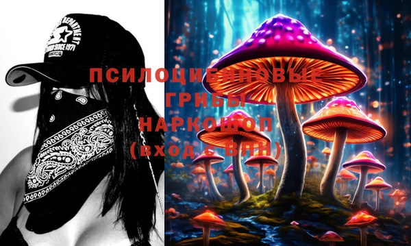 mix Аркадак