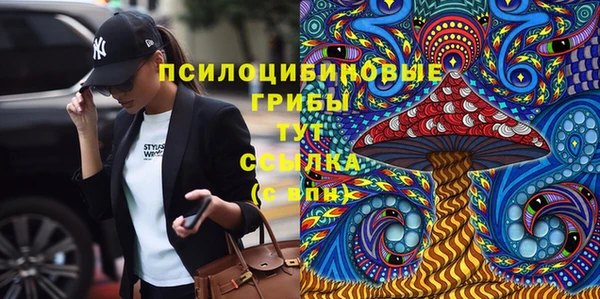 экстази Арсеньев